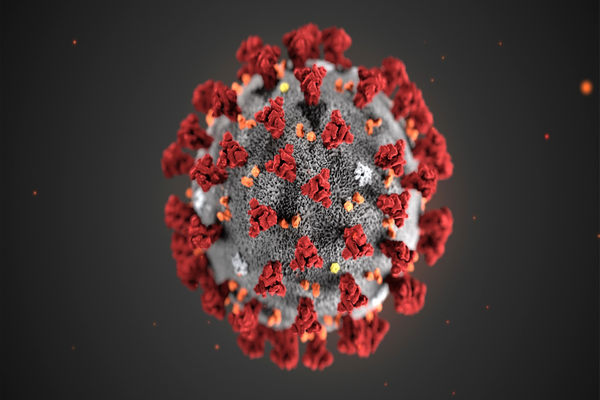 Wojna z pandemią koronawirusa